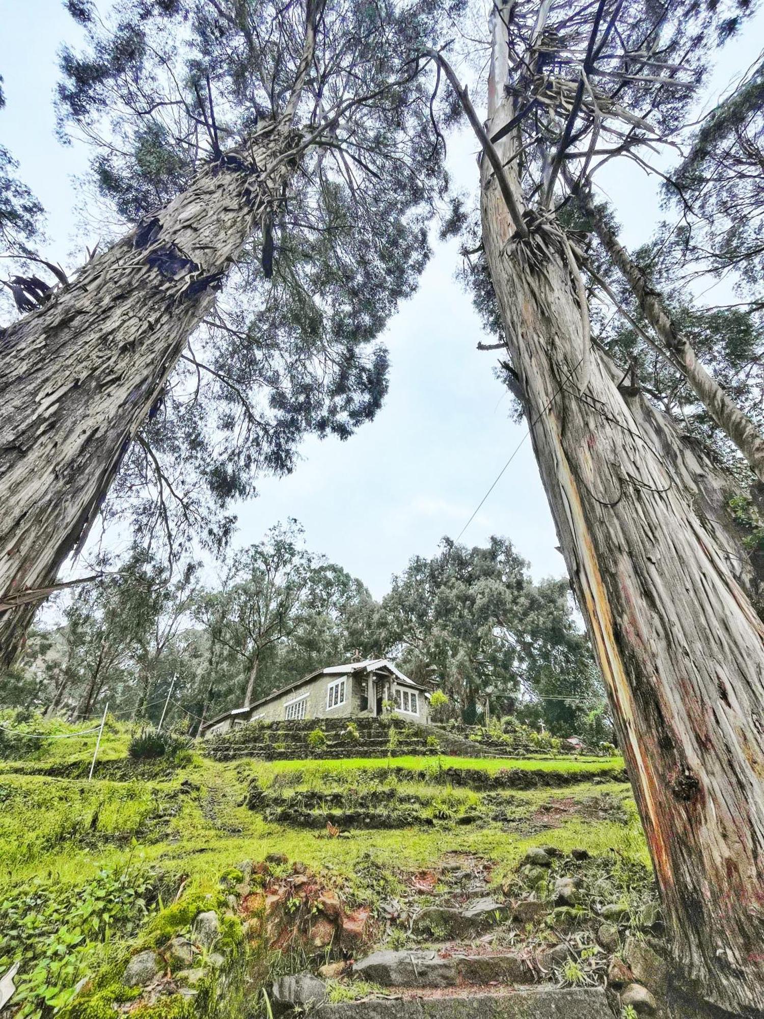 Springdale Villa Kodaikanal Εξωτερικό φωτογραφία