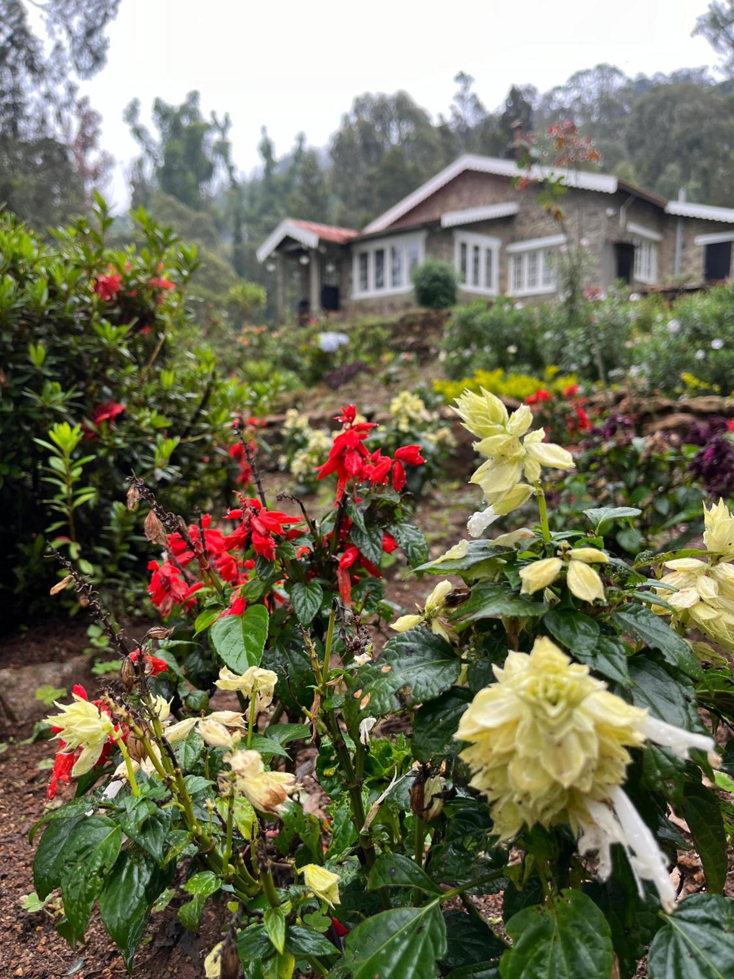 Springdale Villa Kodaikanal Εξωτερικό φωτογραφία