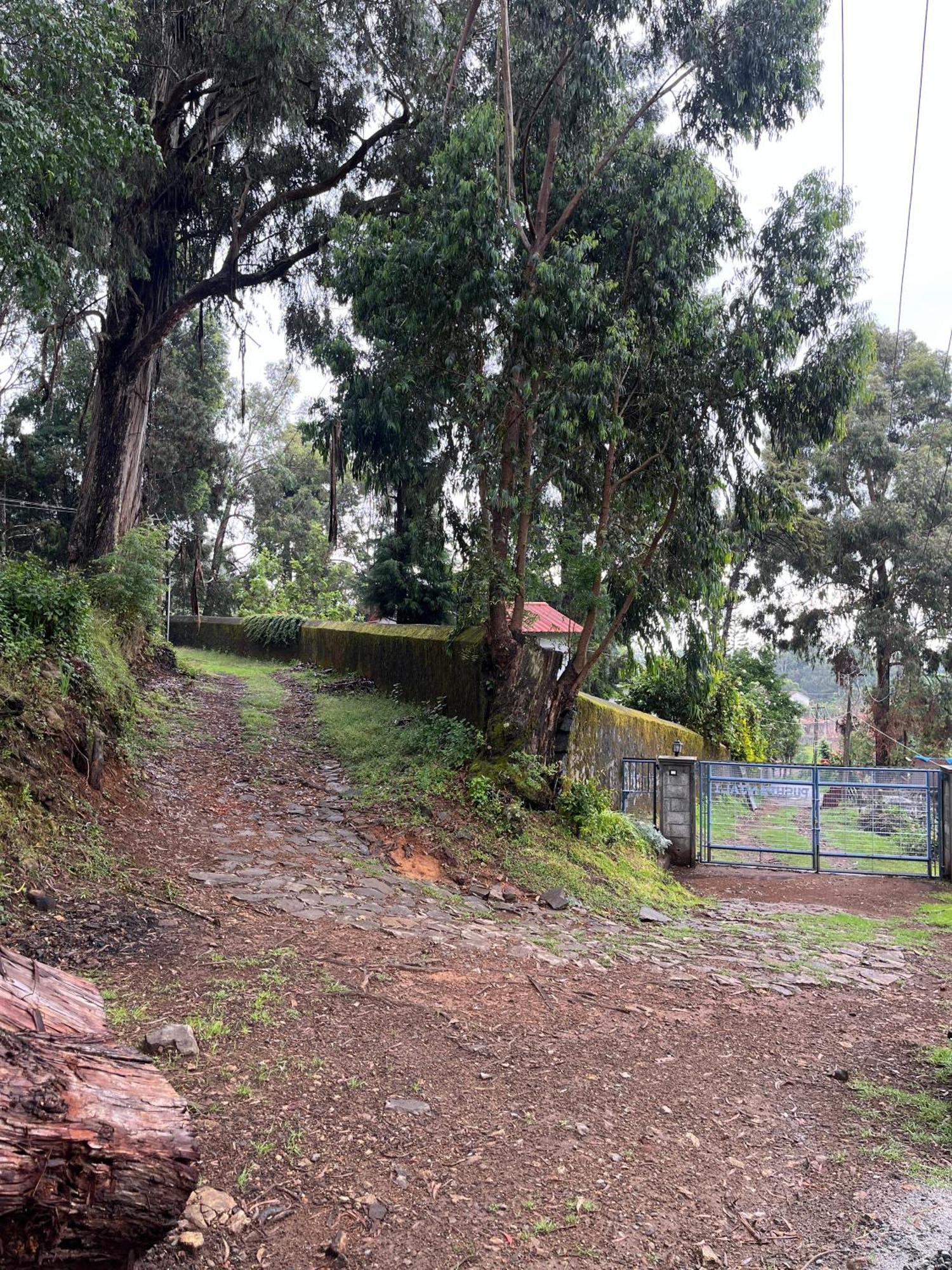 Springdale Villa Kodaikanal Εξωτερικό φωτογραφία