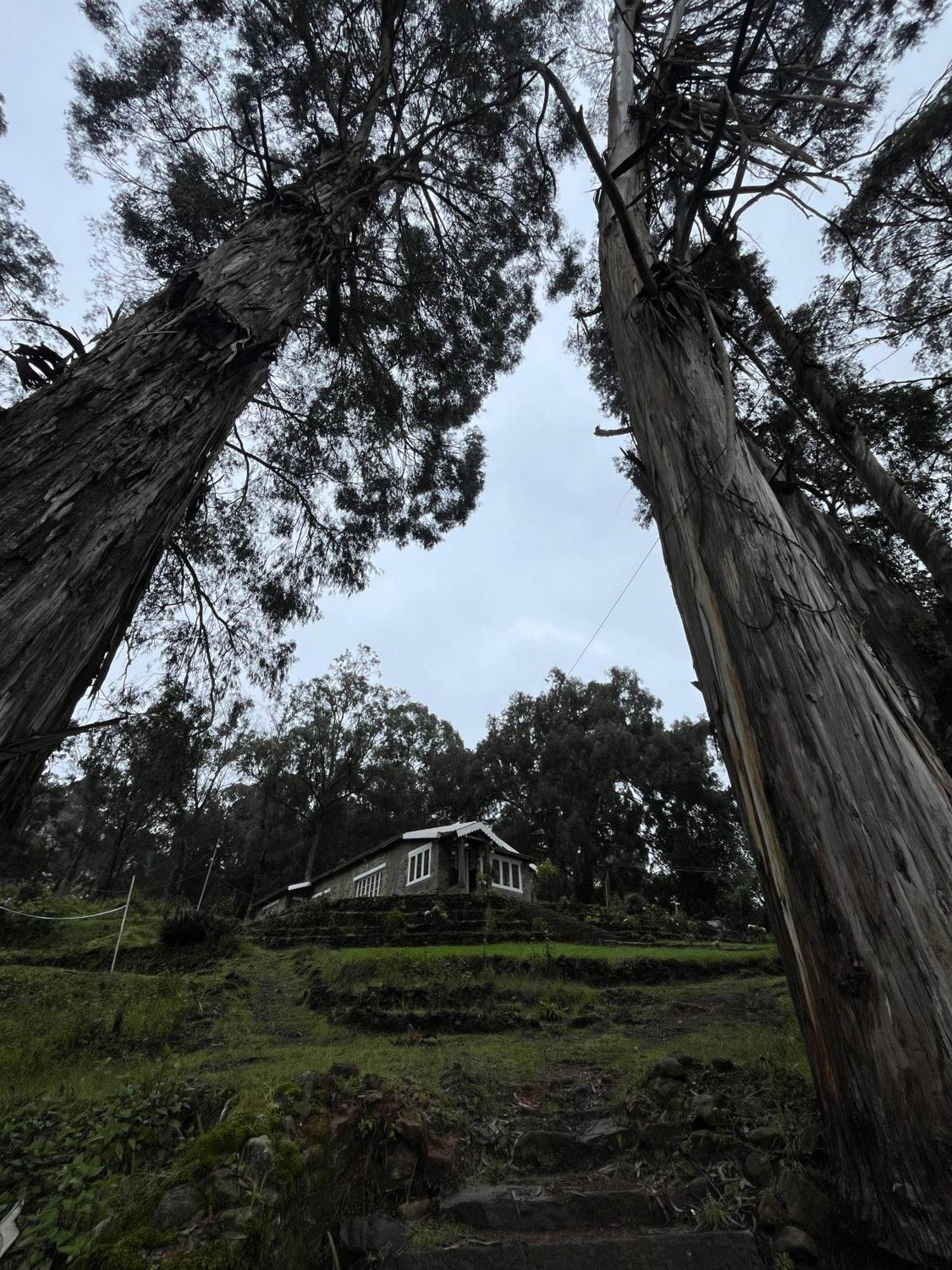Springdale Villa Kodaikanal Εξωτερικό φωτογραφία